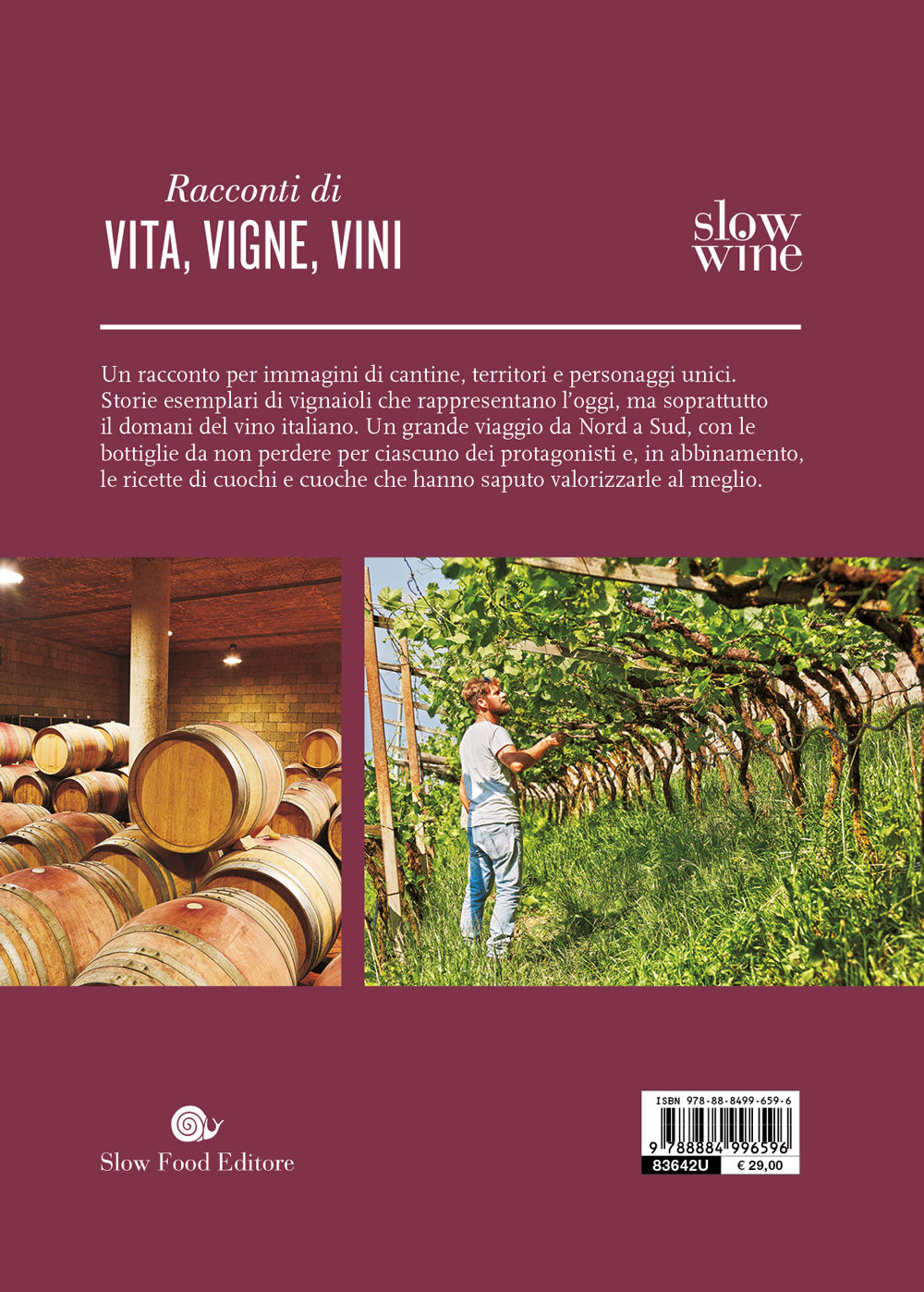 Il grande viaggio nel vino italiano. Racconti di vita, vigne, vini