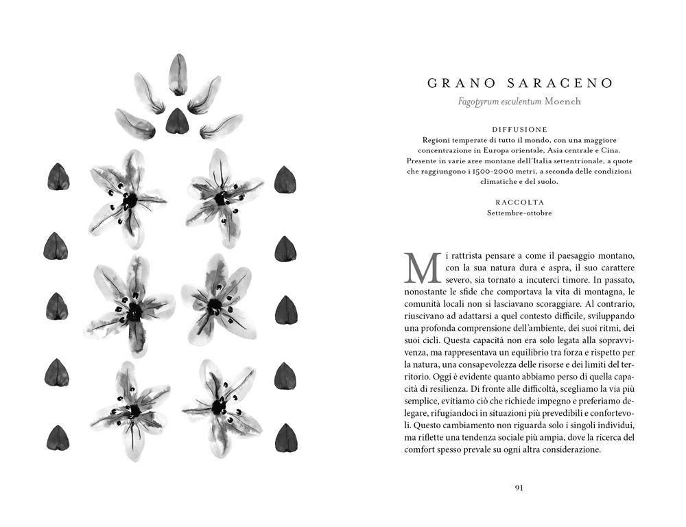 Botanica nascosta. Storia, curiosità, superpoteri delle piante dimenticate. Storia, curiosità, superpoteri delle piante dimenticate