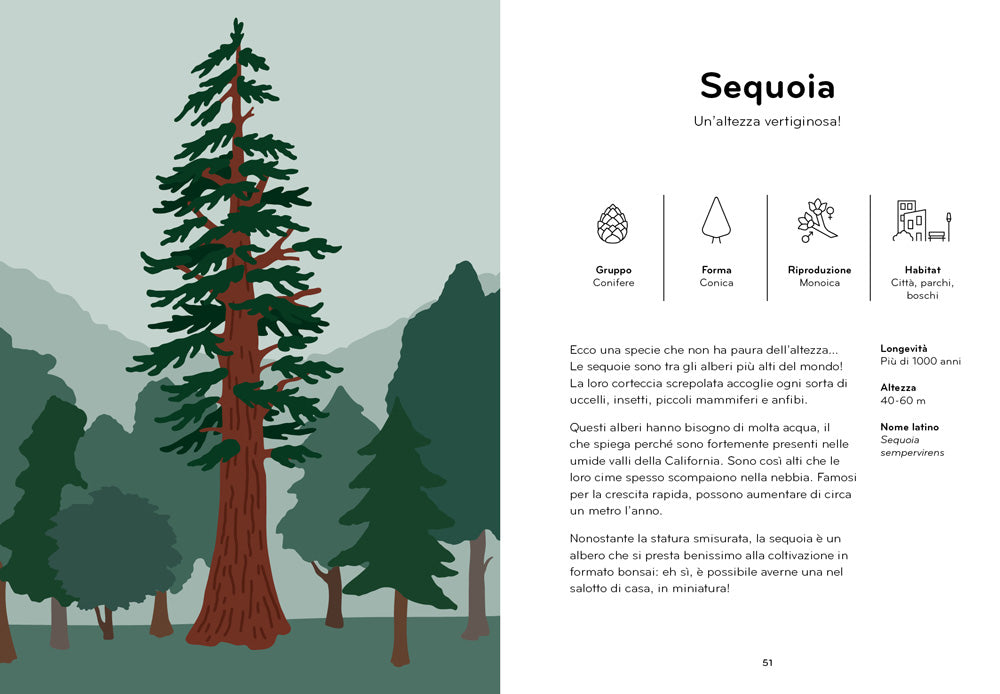ARBORAMA. SCOPRI E OSSERVA IL FAVOLOSO MONDO DEGLI ALBERI