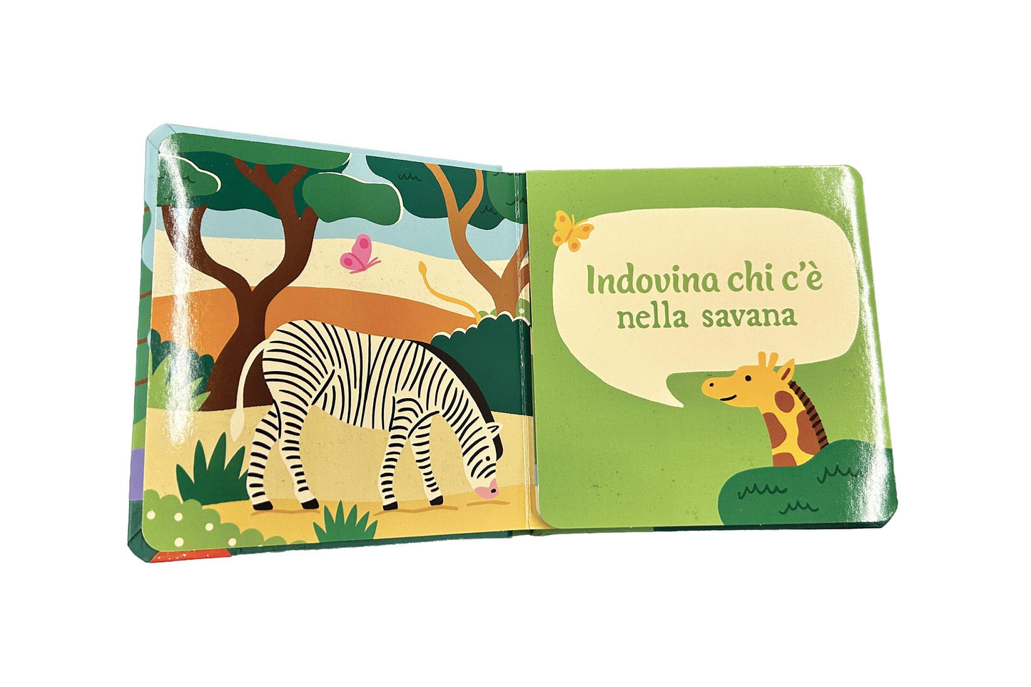 Indovina chi c'è - Animali del mondo