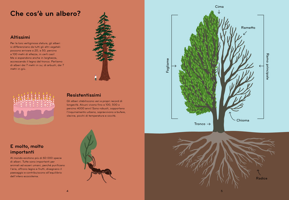 ARBORAMA. SCOPRI E OSSERVA IL FAVOLOSO MONDO DEGLI ALBERI