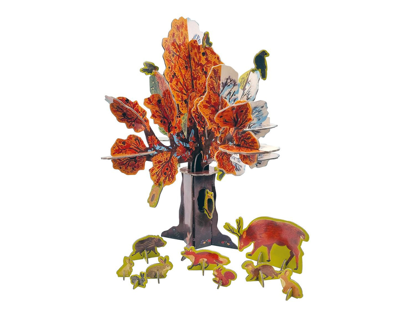 Costruisci il tuo albero