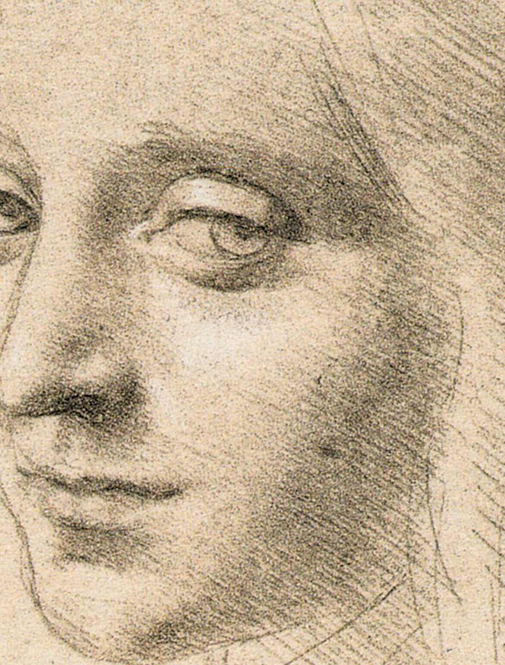 La bellezza. Leonardo da Vinci. Artista / scienziato