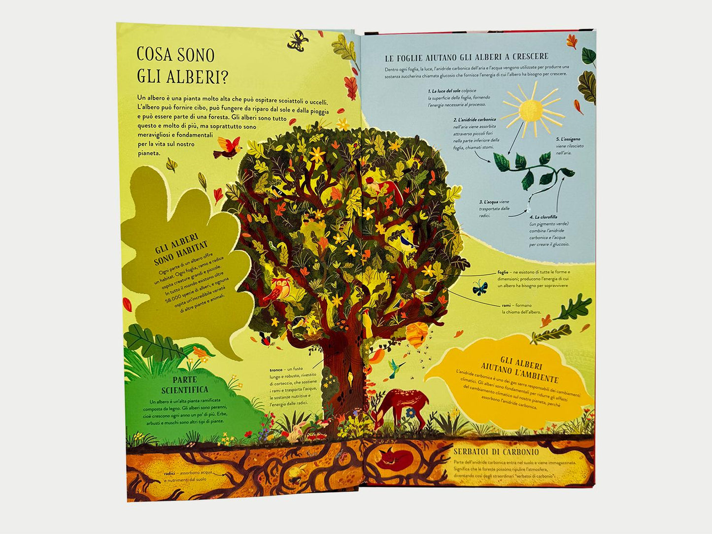Costruisci il tuo albero