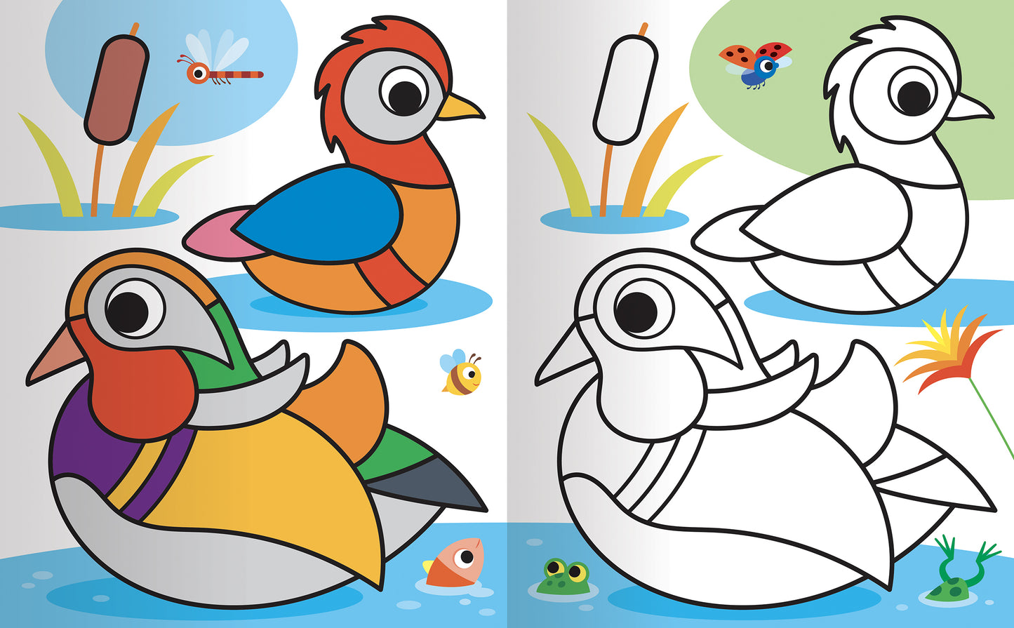 Colorare gli Animali