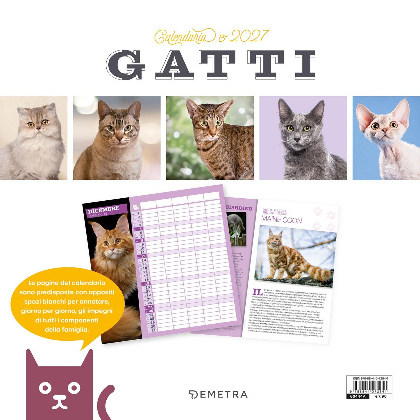 Calendario Gatti  2027  da parete (30 x 30 cm)