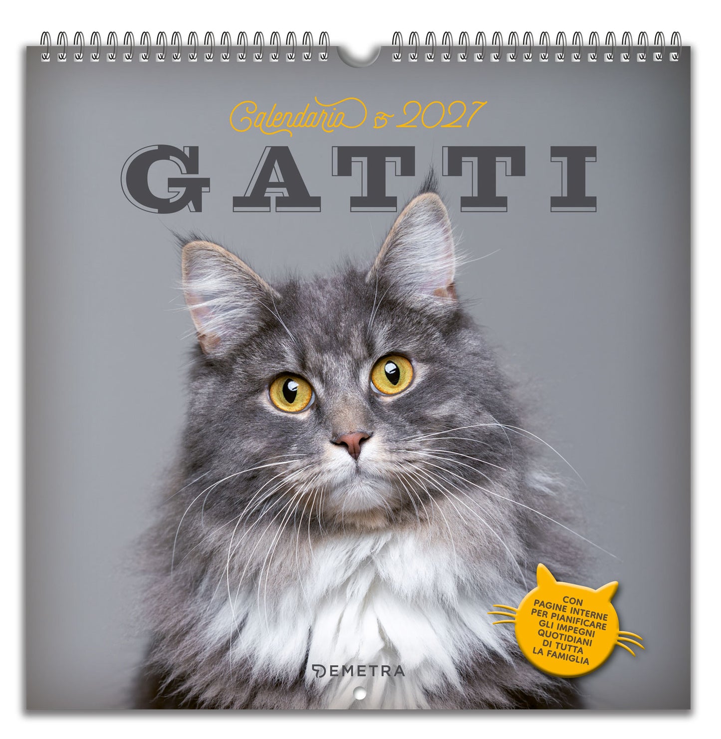 Calendario Gatti  2027  da parete (30 x 30 cm)