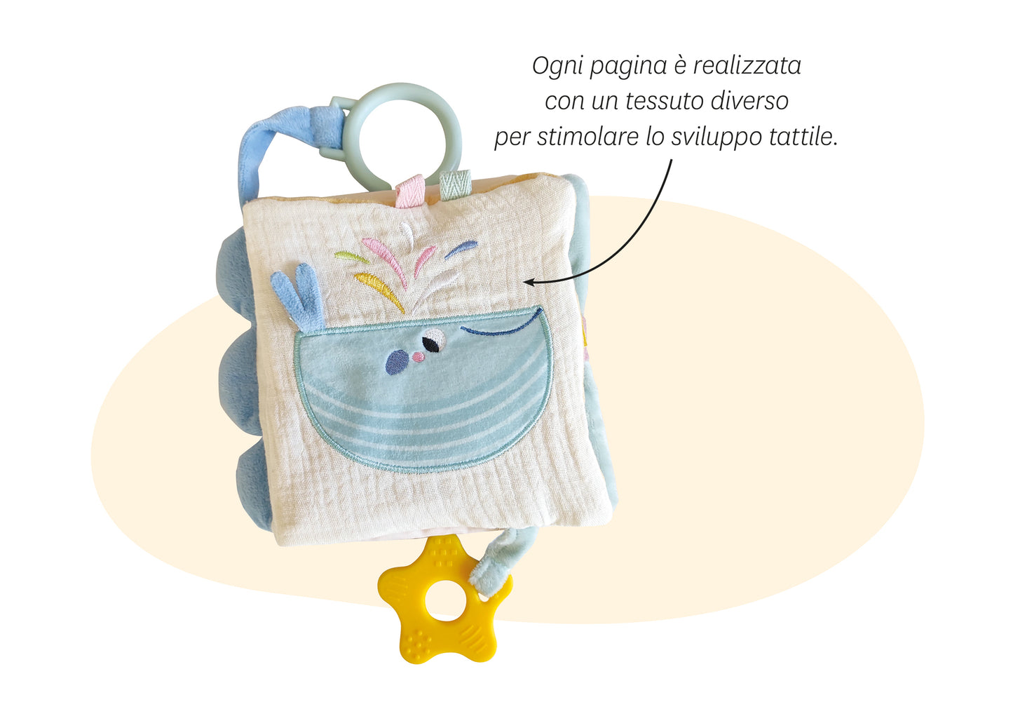 La balena. Un libro tutto da esplorare