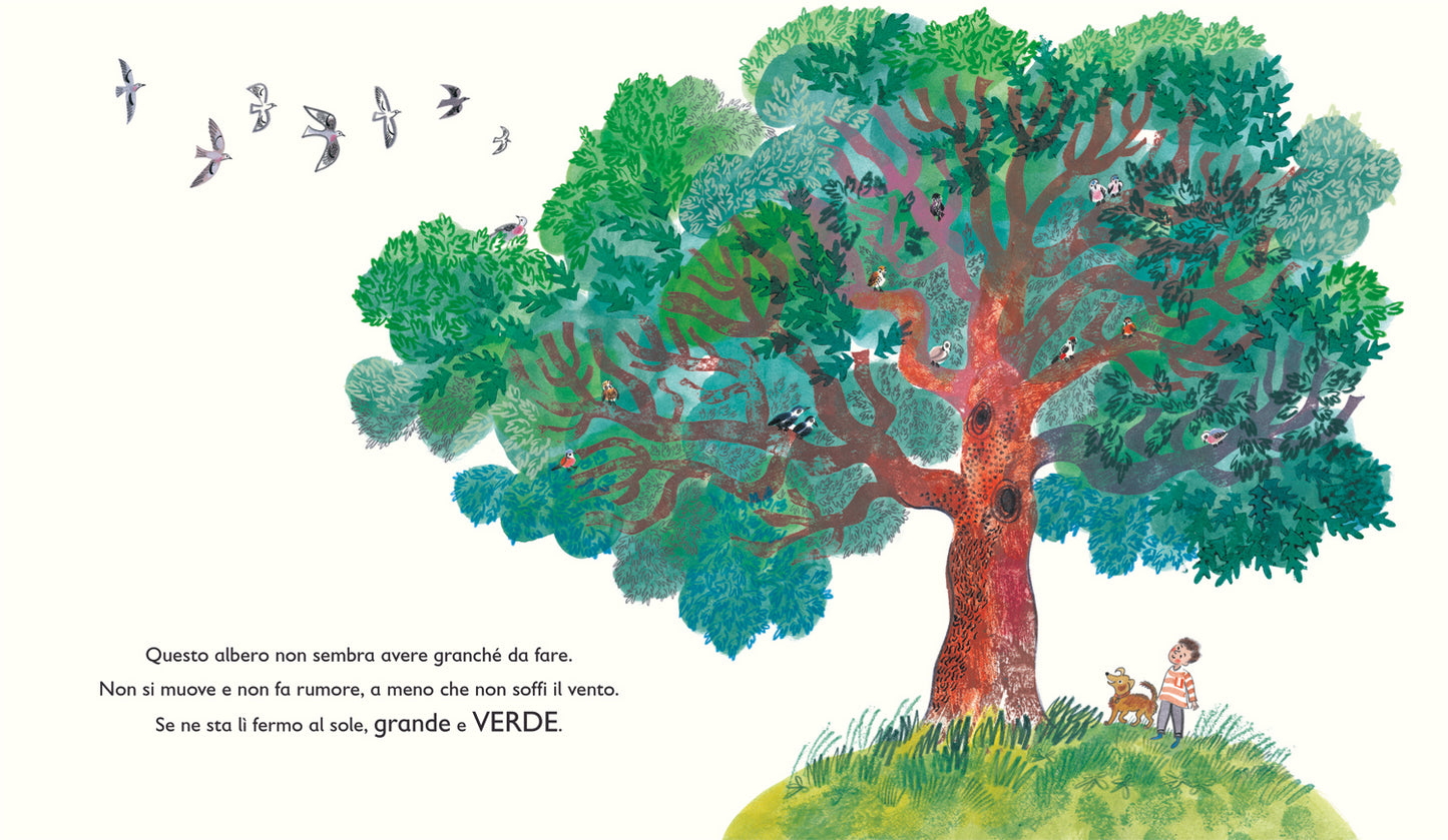 Verde. Il mondo segreto delle piante