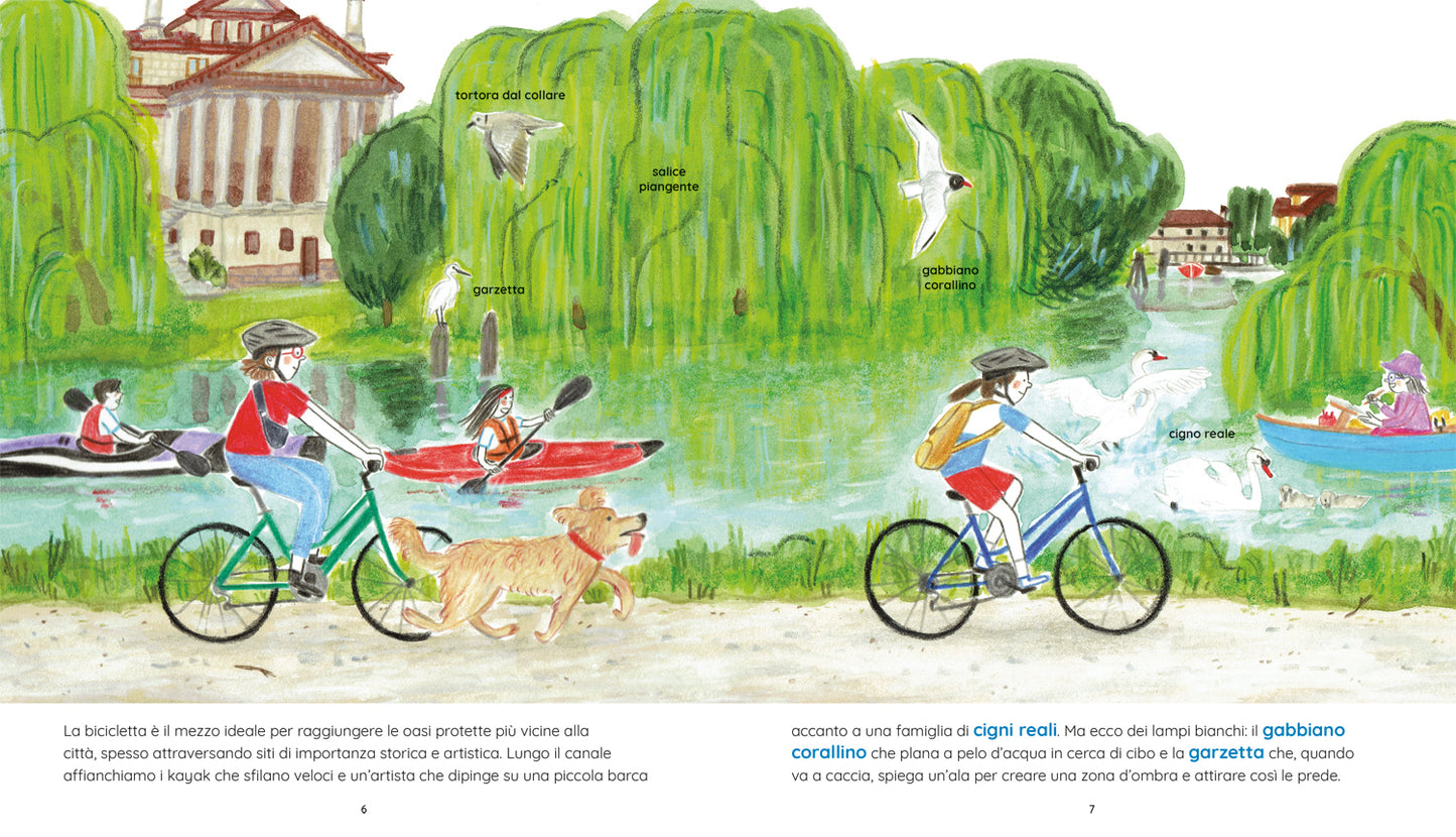 Tra terra e acqua. Fiumi, lagune, stagni