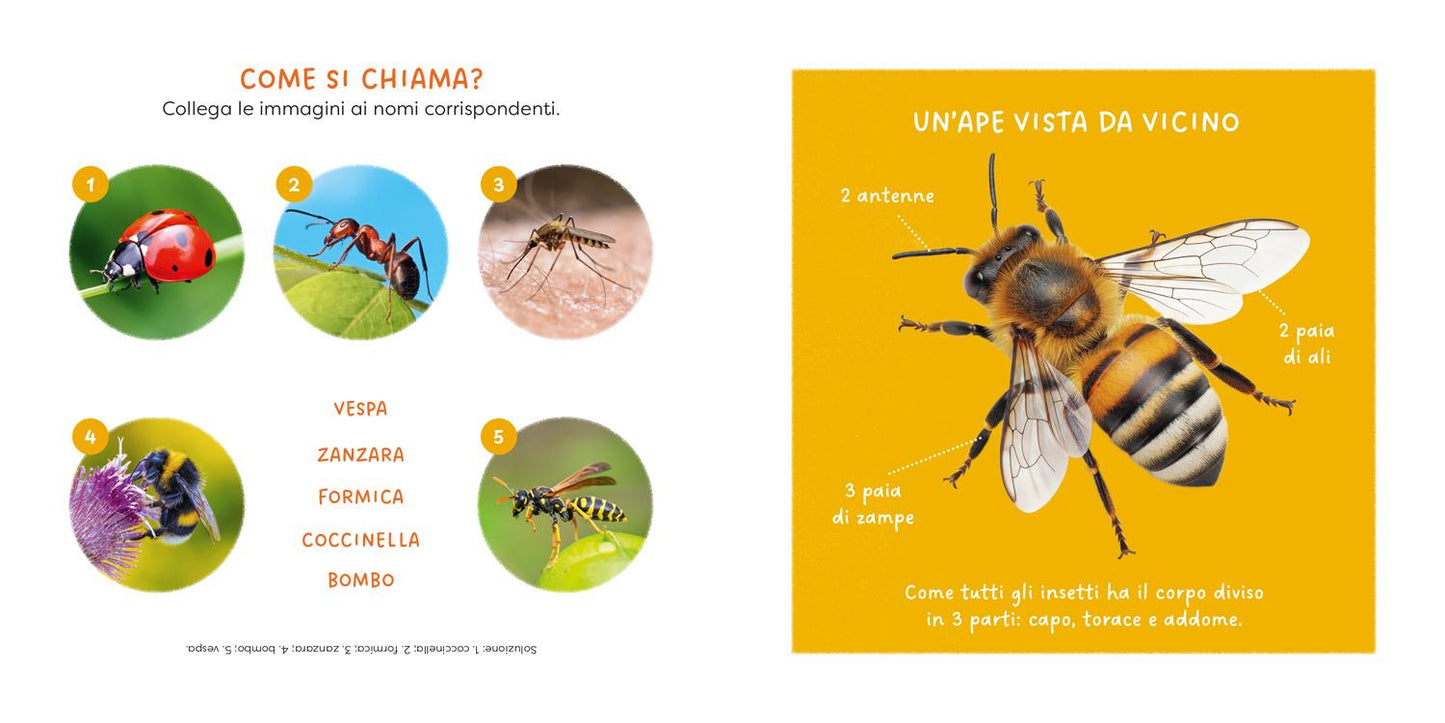Ape. primi libri fotografici per osservare la natura da vicino!