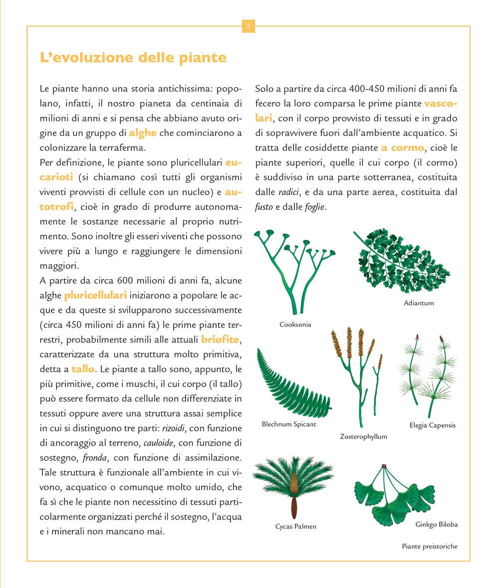 Piante, alberi e fiori