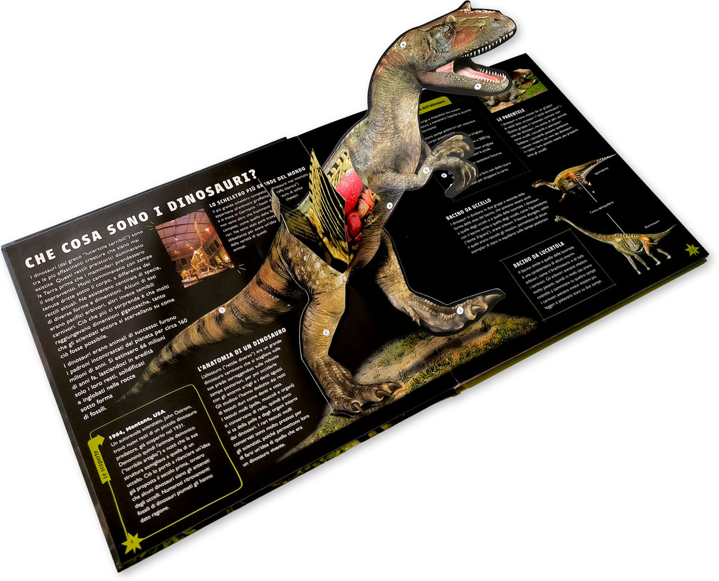 Viaggio nel mondo dei dinosauri. Guida interattiva sui terribili rettili preistorici