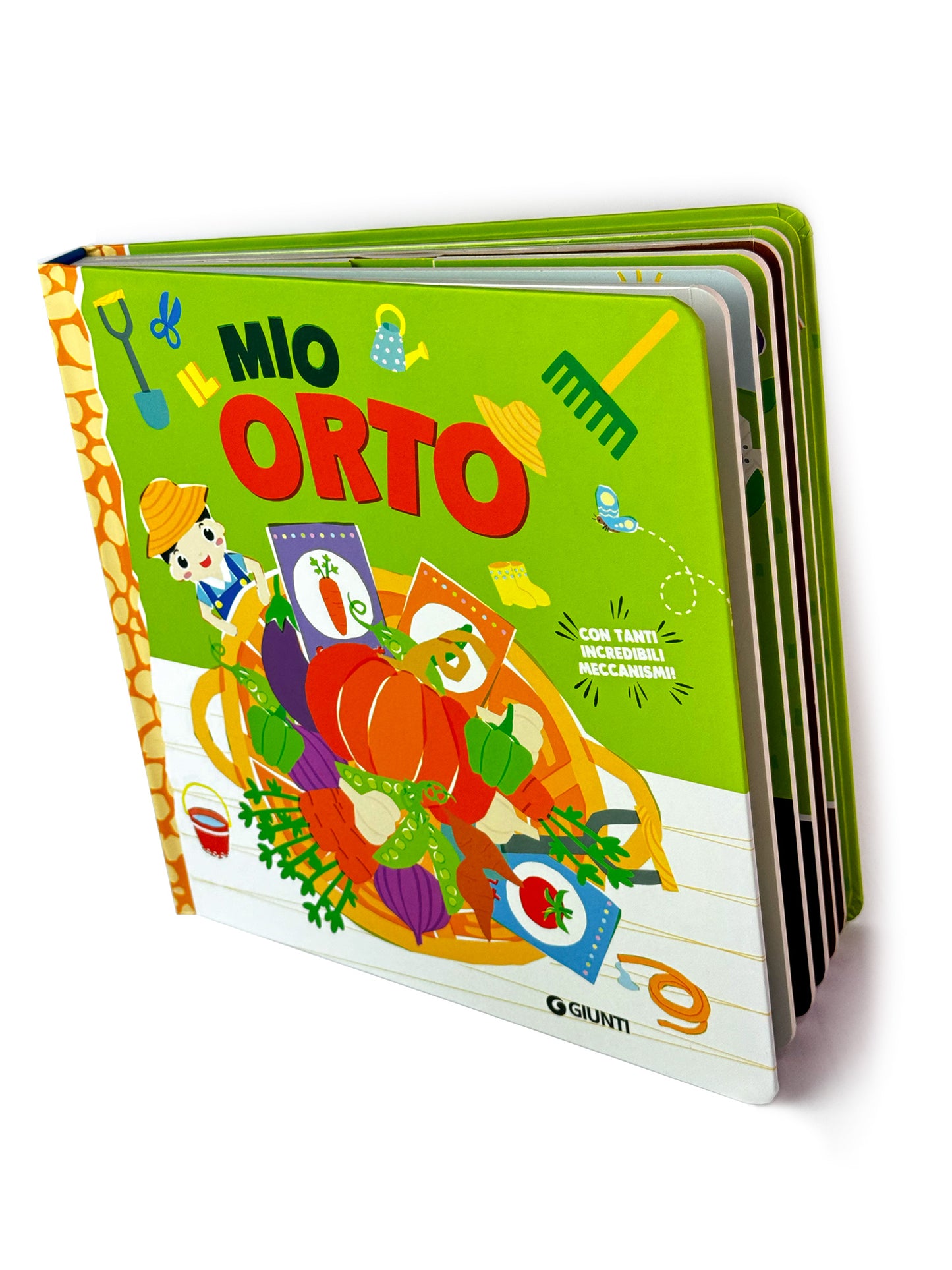 Il mio orto