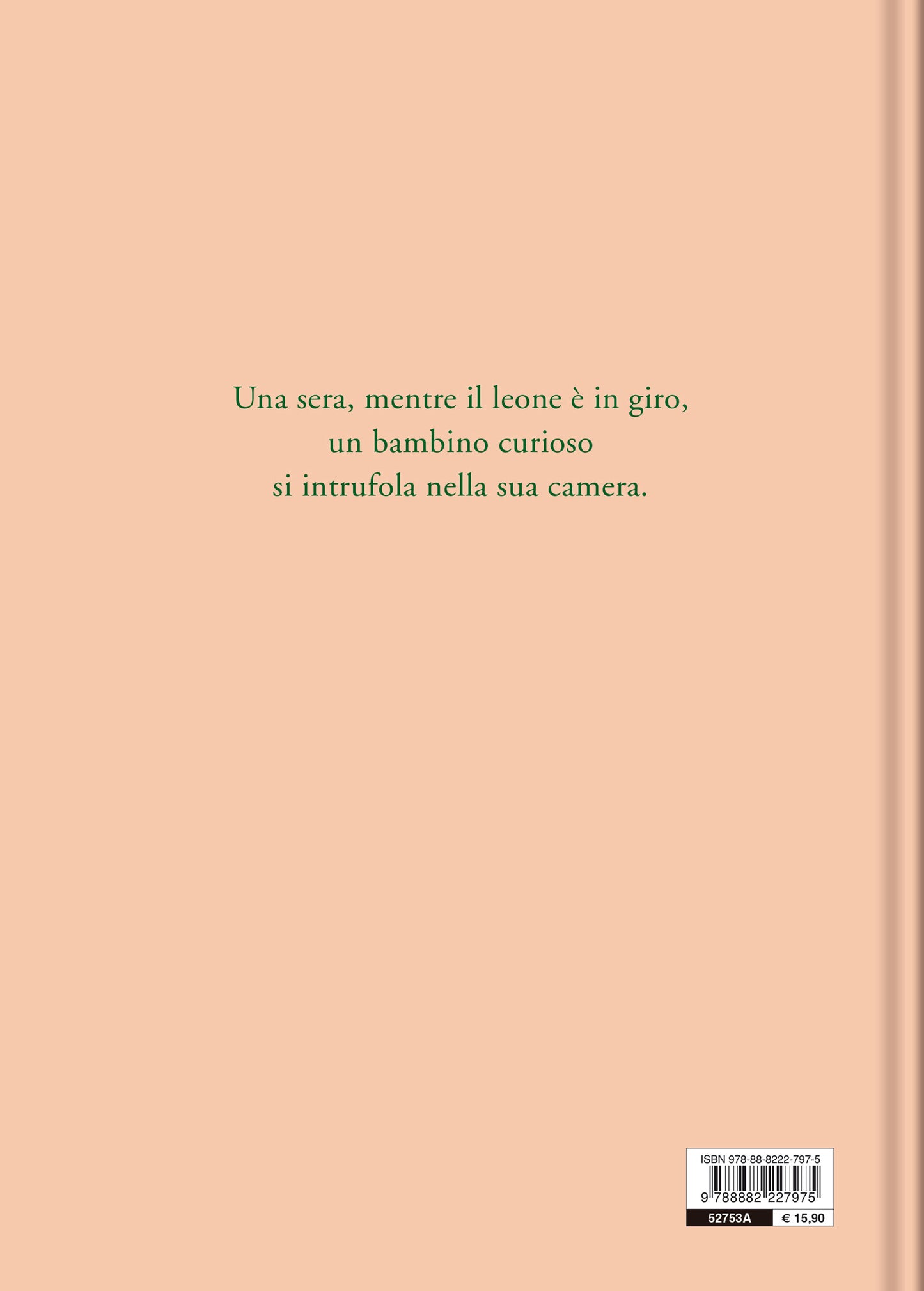 La camera del leone