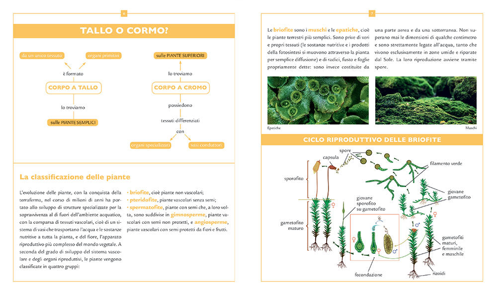 Piante, alberi e fiori