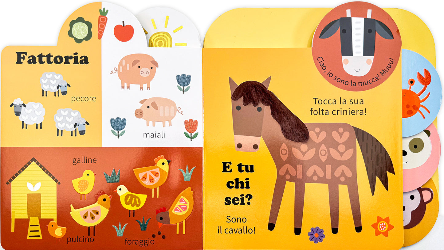 Animali