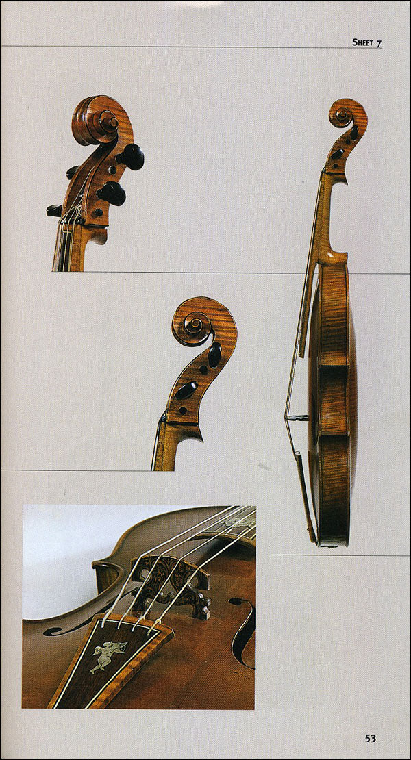 Strumenti musicali. Guida alle collezioni medicee e lorenesi. Galleria dell'Accademia. Collezione del Conservatorio Luigi Cherubini