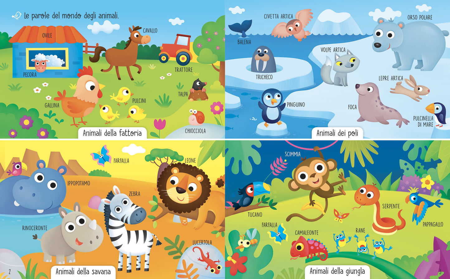 Animali del mondo
