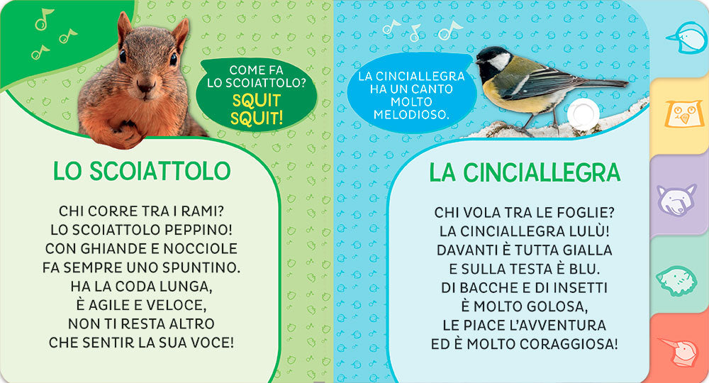 Animali del bosco. Primi Suoni