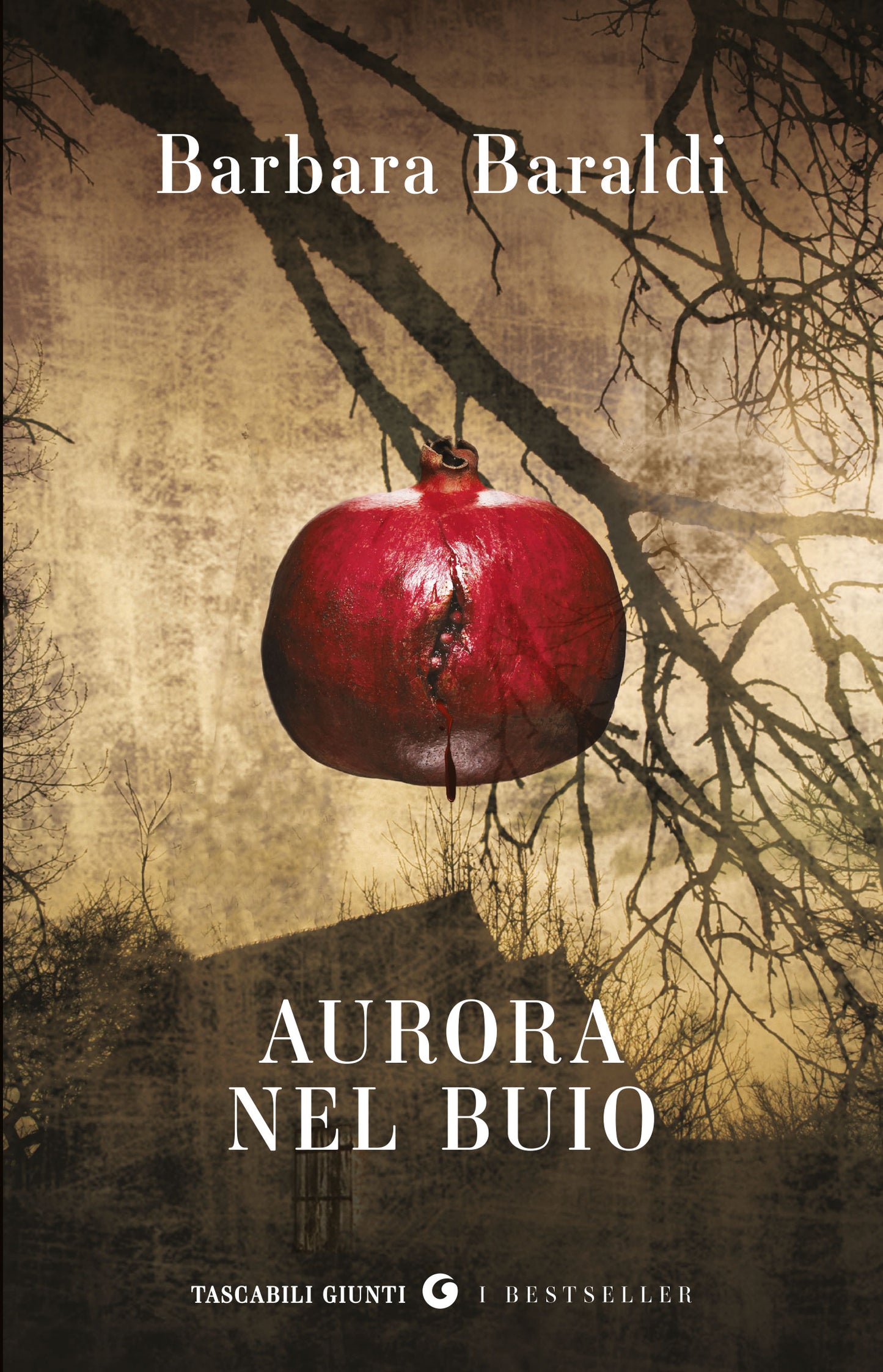 Aurora nel buio