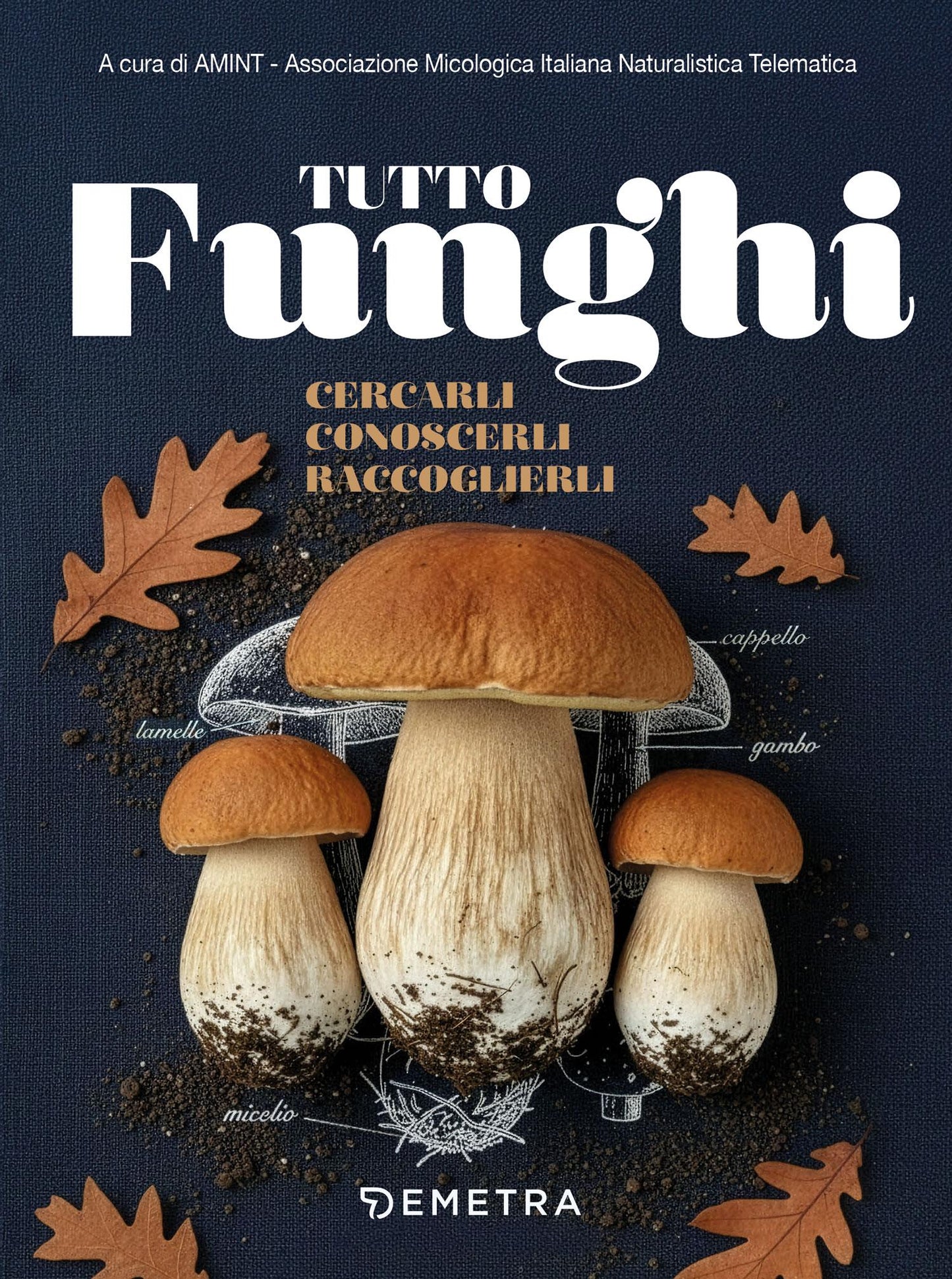 TUTTO FUNGHI