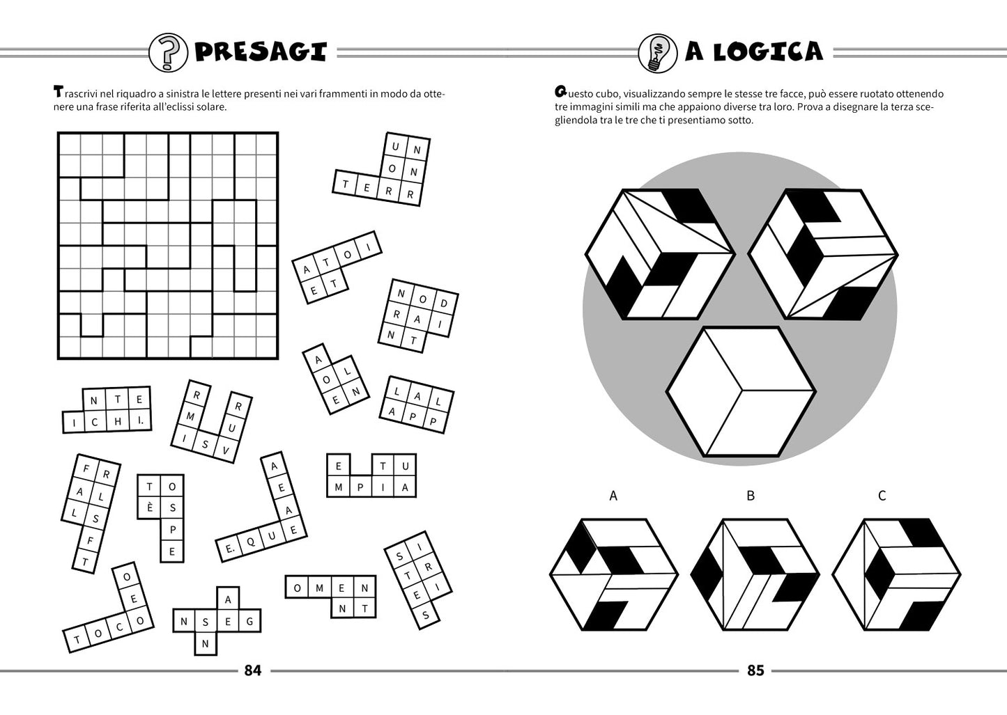 Sfida la mente. Enigmi, rompicapo e giochi per esperti