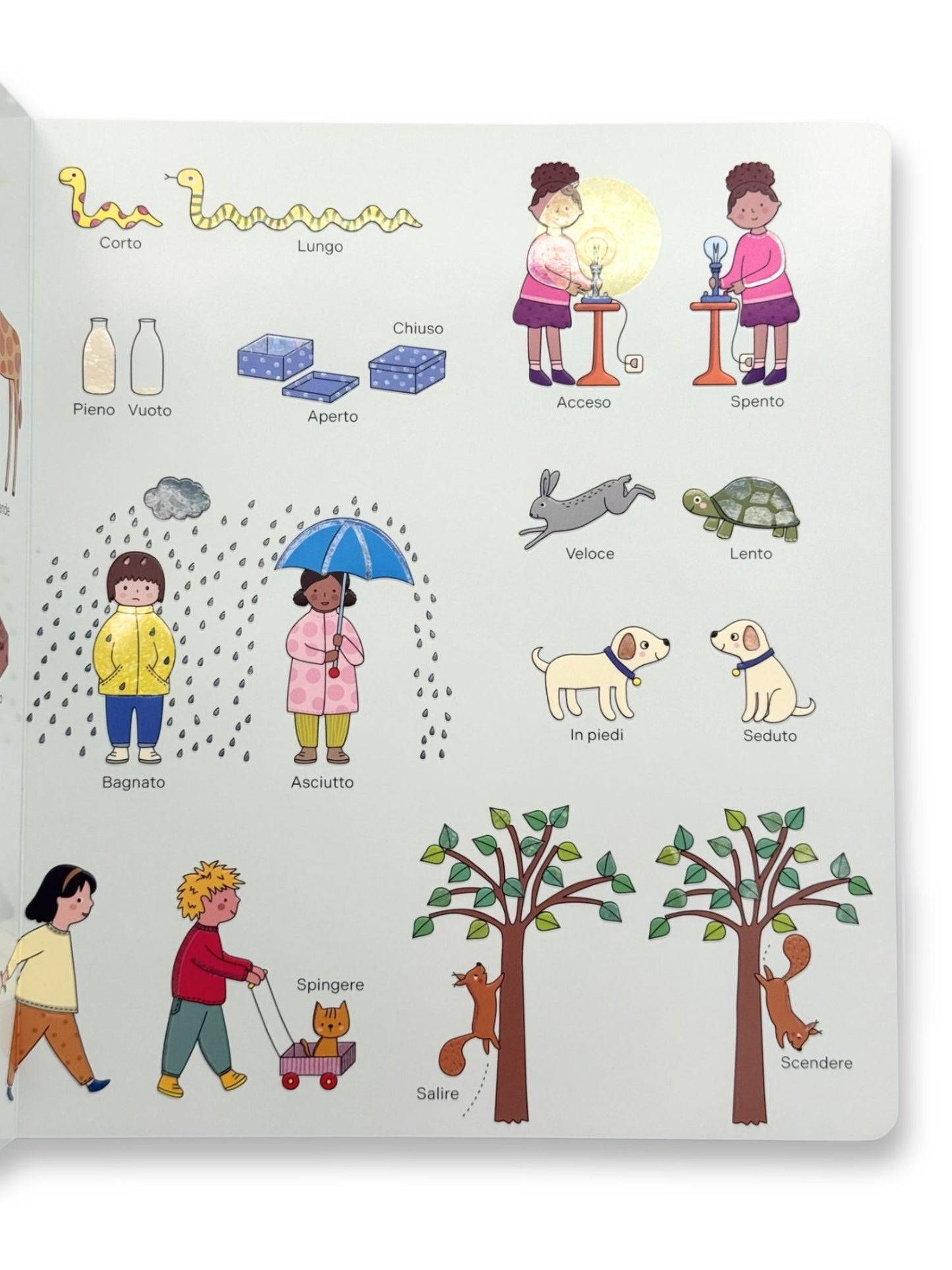 Il mondo del bambino