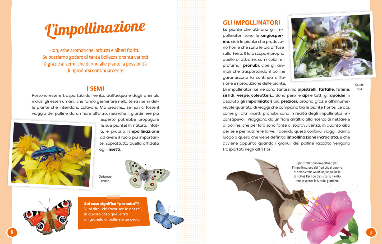 Api e fiori. Coltiviamo la bellezza difendendo la biodiversità