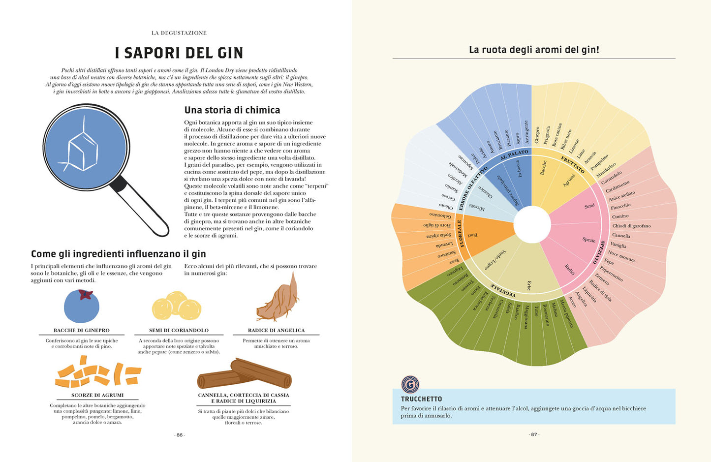 Gin. Manuale per aspiranti intenditori. Guida illustrata per appassionati