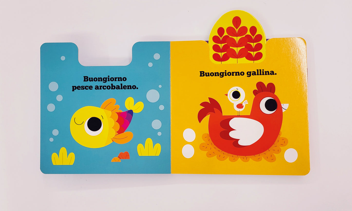 Buongiorno gallina