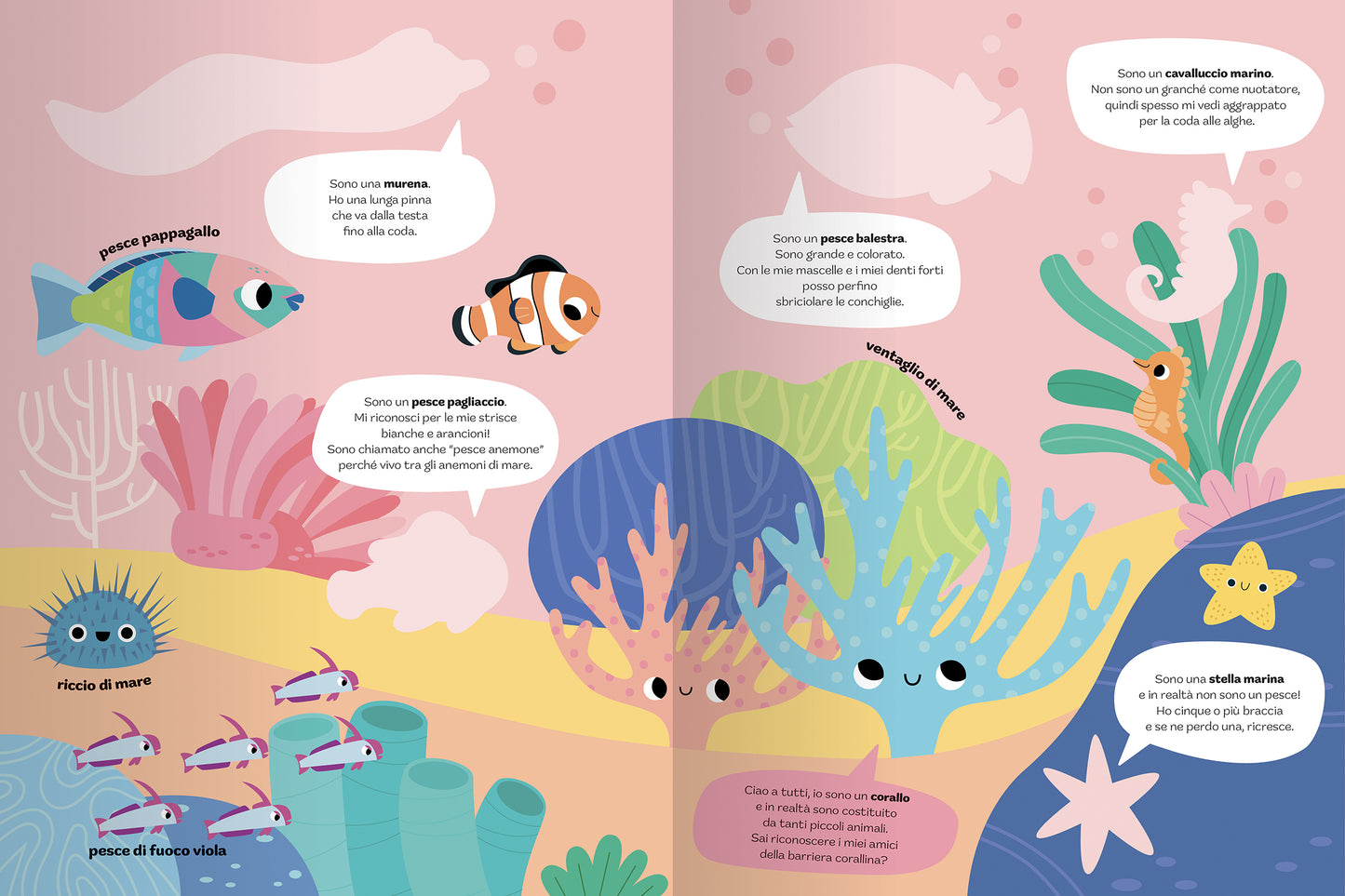 Animali del mare