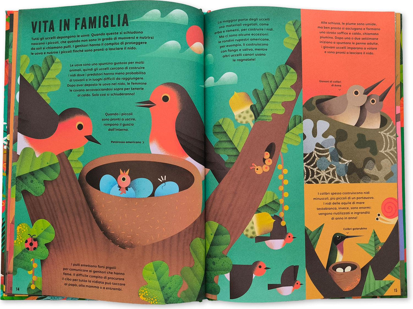 Il mio libro degli uccelli. Una prima guida per aspiranti birdwatchers!