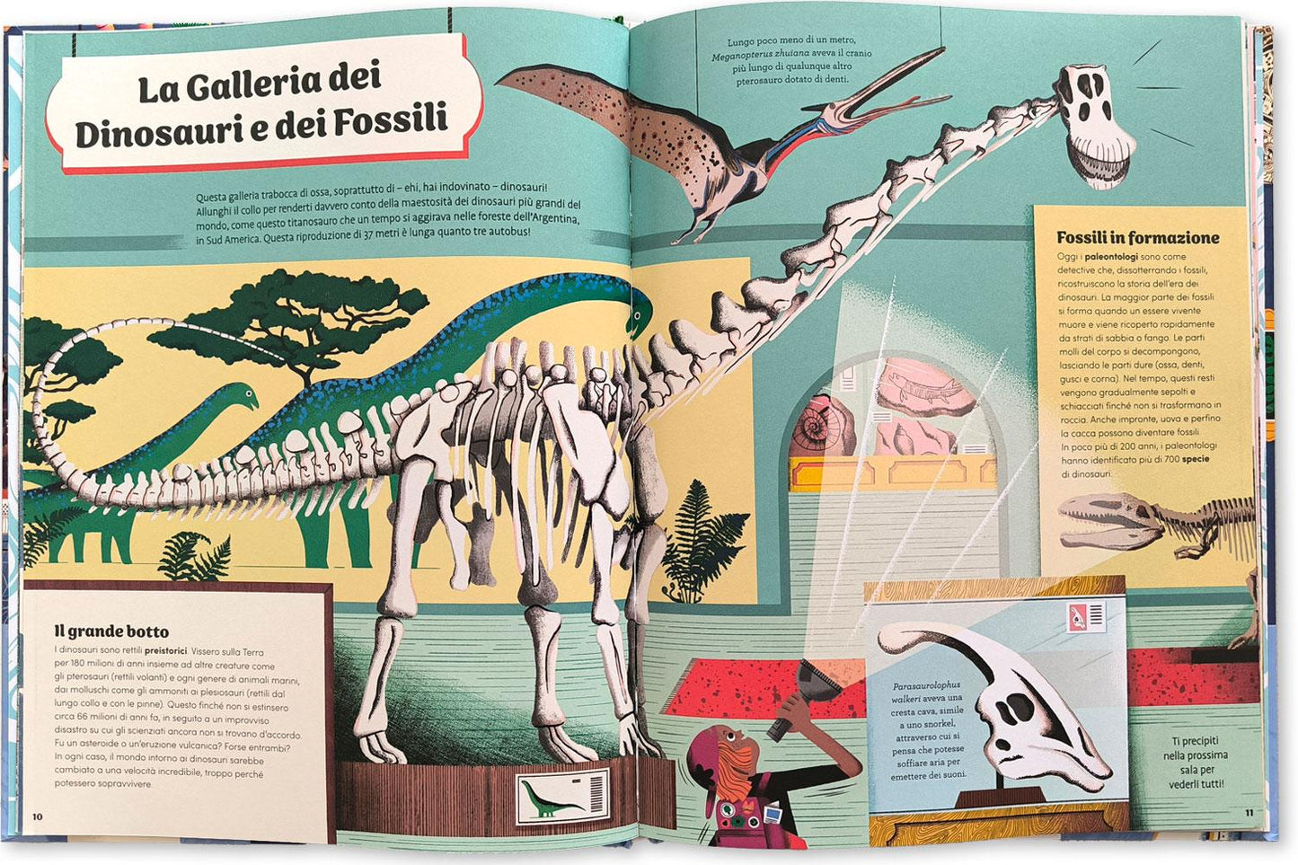 Una notte al museo. Quando le luci si spengono, il museo prende vita