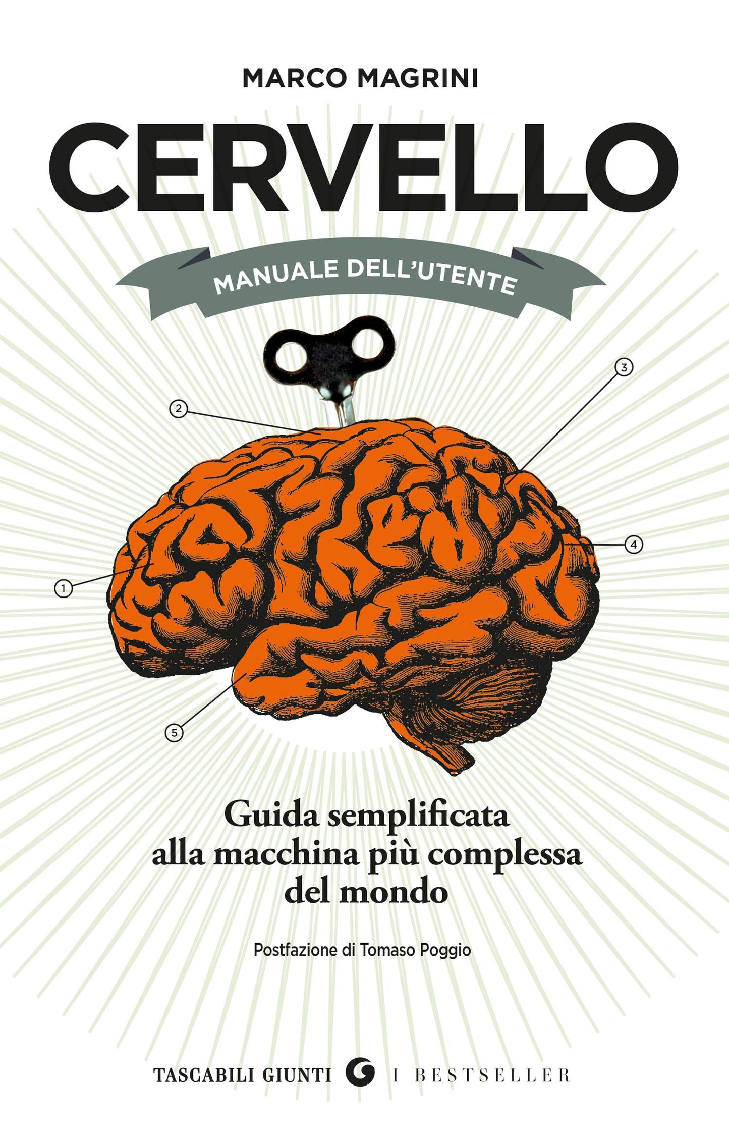Cervello. Manuale dell'utente. Guida semplificata alla macchina più complessa del mondo