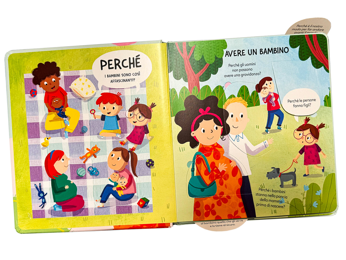 Da dove vengono i bambini