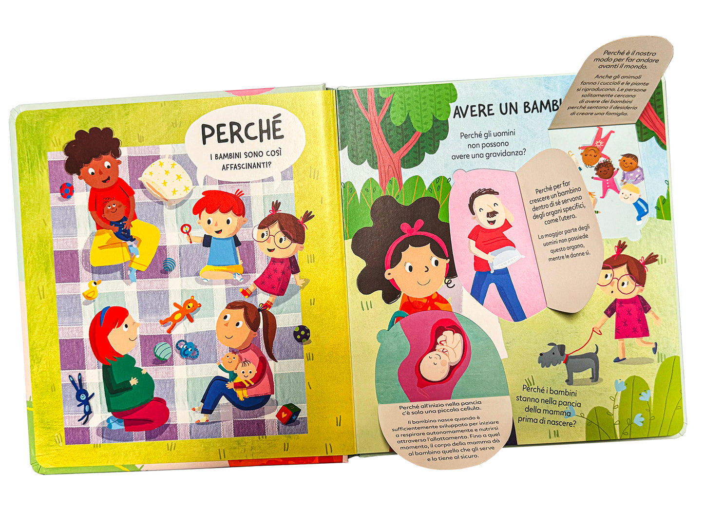 Da dove vengono i bambini
