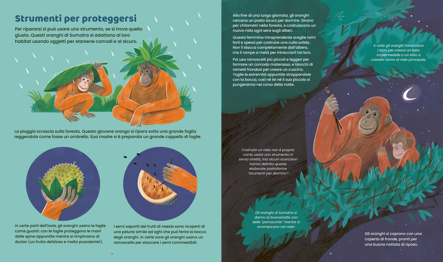 Animali ingegnosi. Scopri gli animali più ingegnosi del pianeta