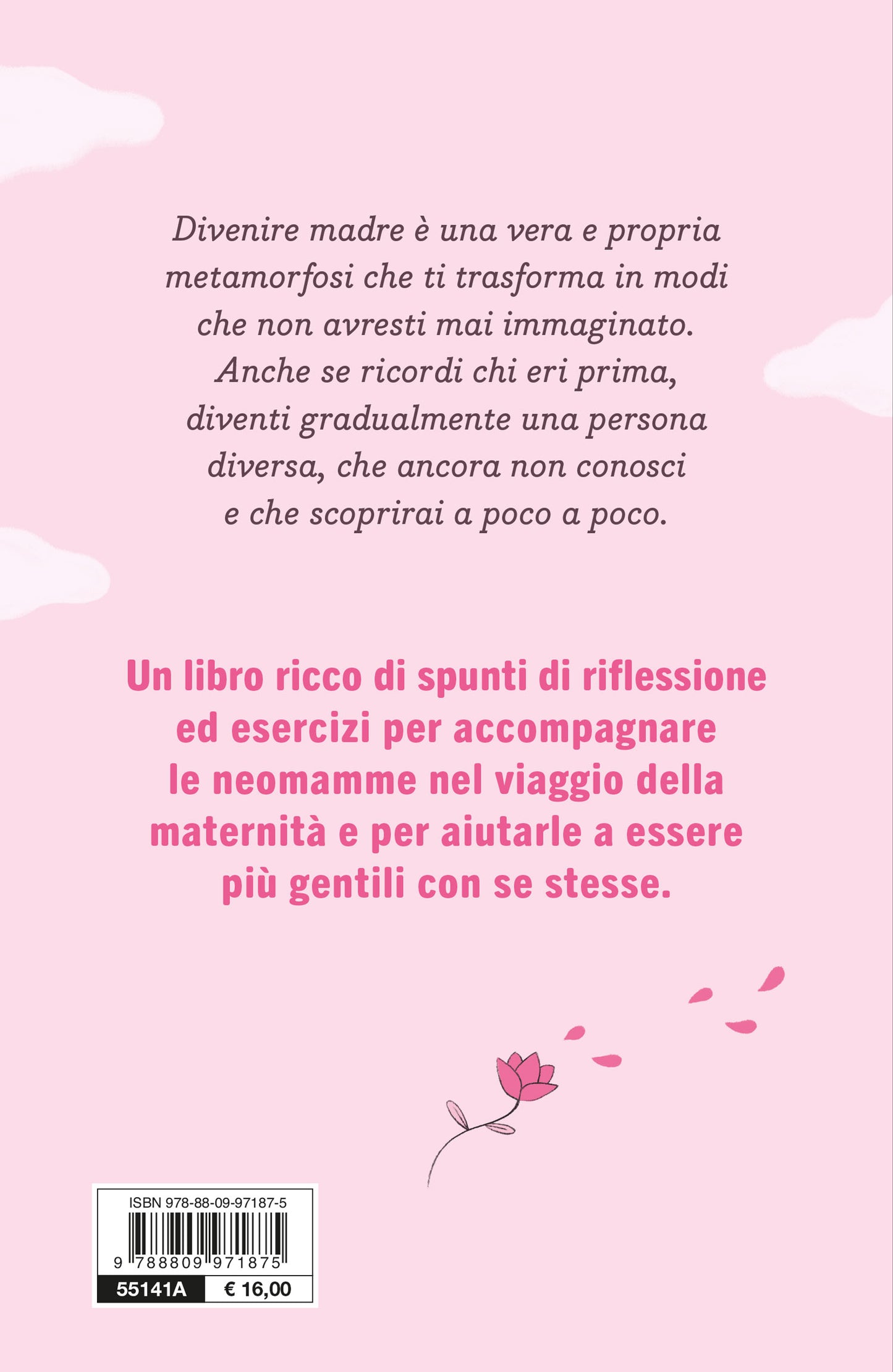 Non sono più sola. Diario di viaggio per neomamme consapevoli e serene