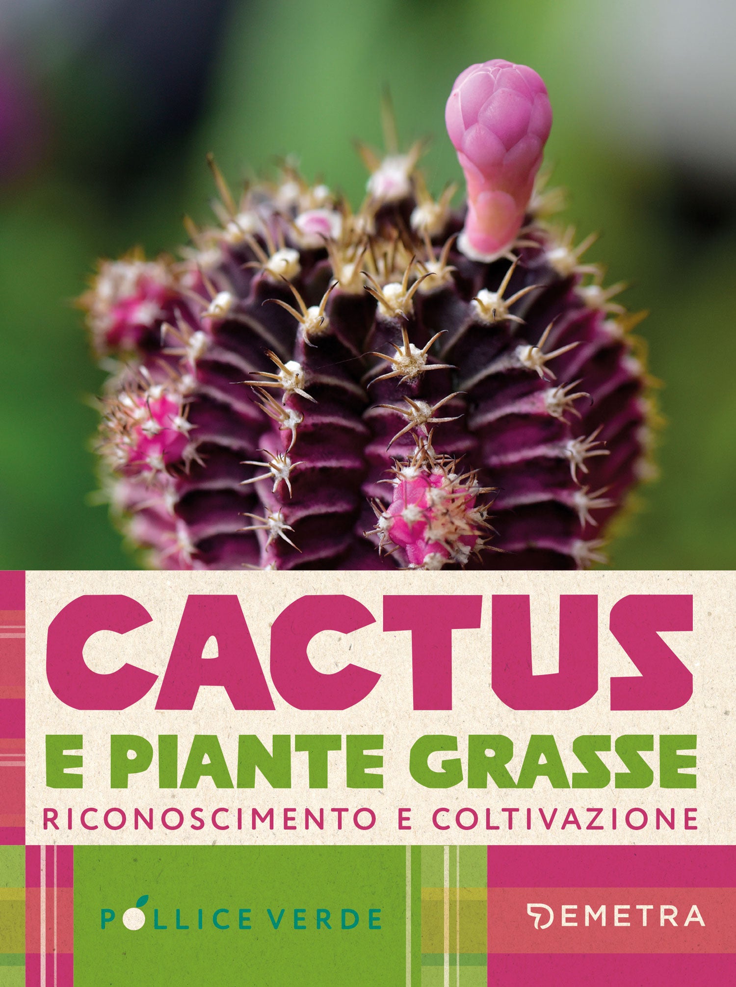 Cactus e Piante Grasse