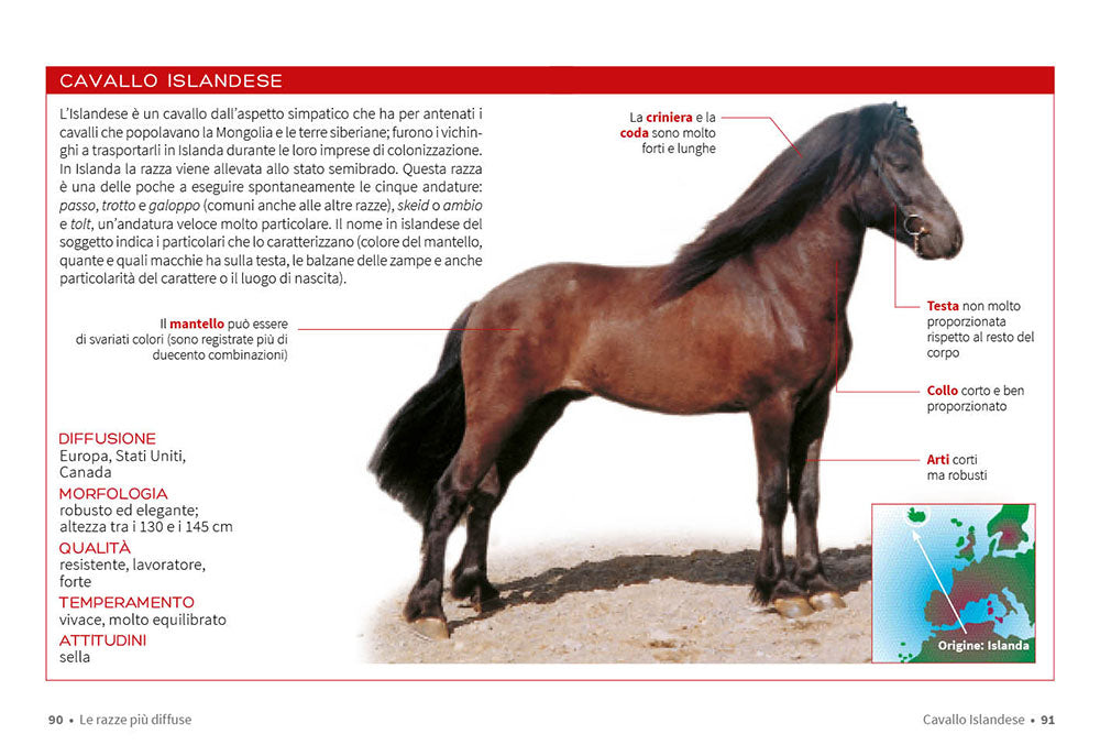 Cavallo. Il manuale completo. Razze, psicologia, alimentazione, pronto soccorso
