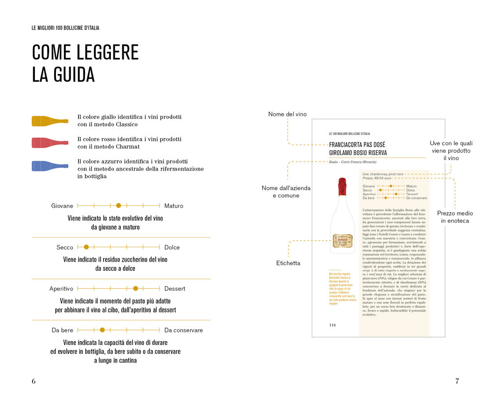 Le migliori 100 bollicine d'Italia. Per sapere sempre con che vino brindare