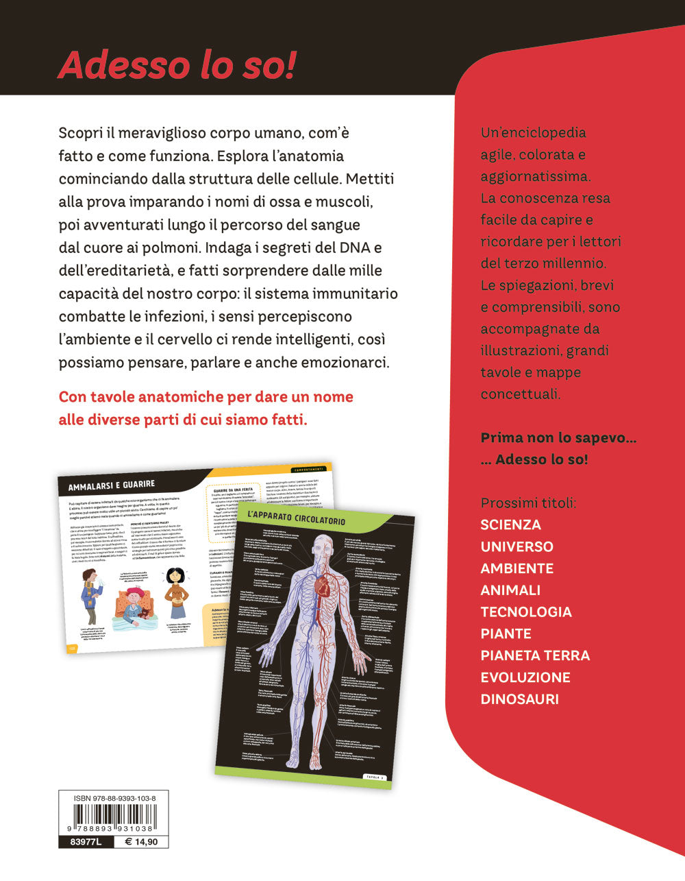 Corpo umano