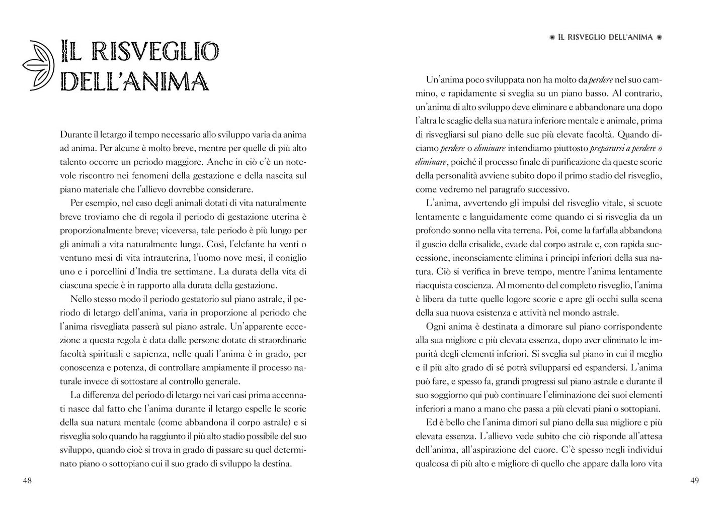 Vita dopo la Morte