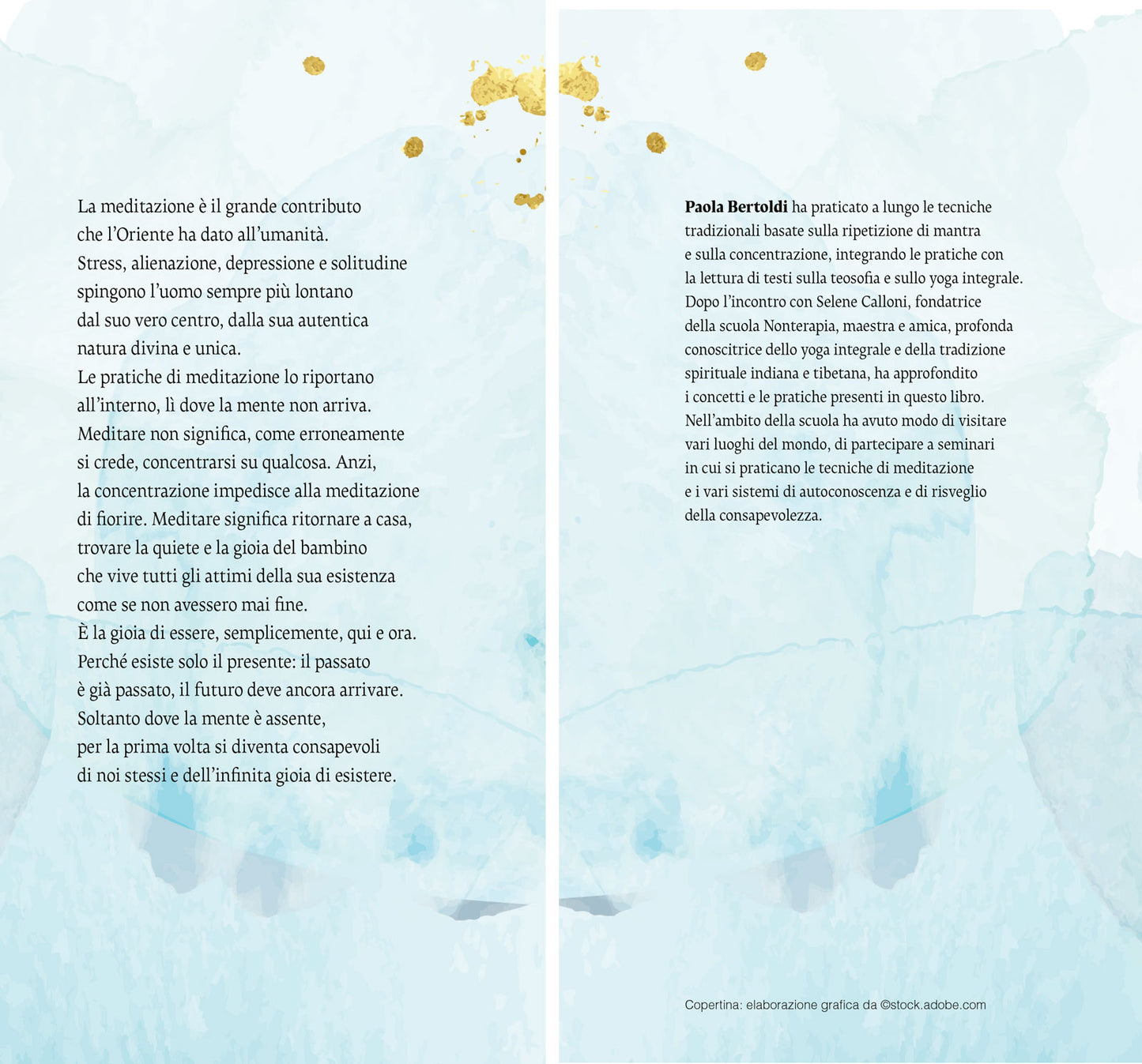 Meditazione. La riscoperta dell'armonia