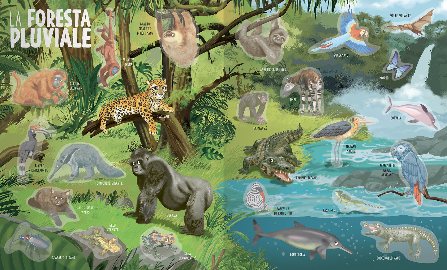Animali Selvaggi