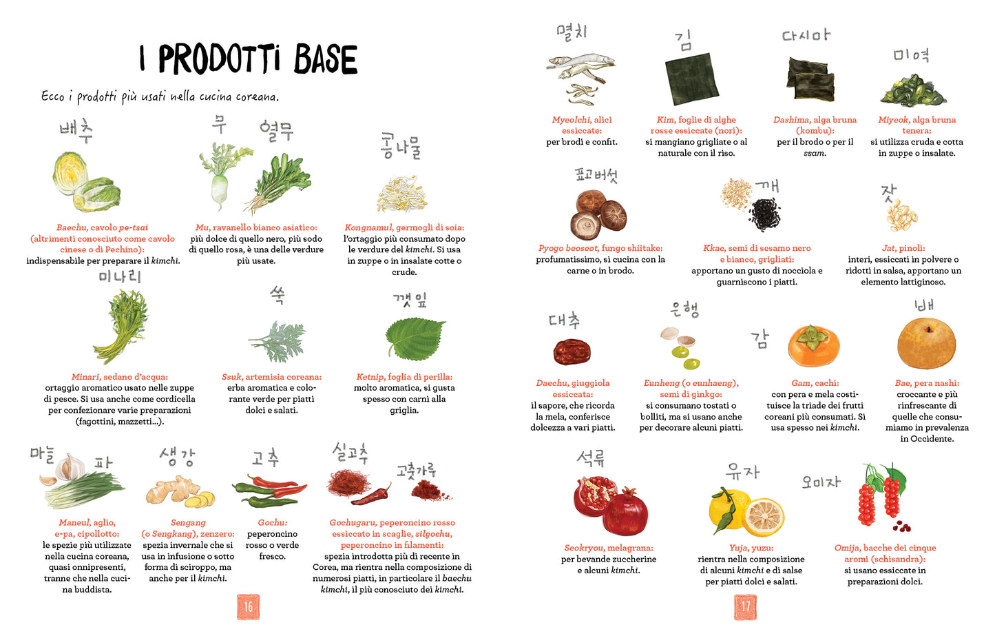 La cucina coreana illustrata. Le ricette e le curiosità per conoscere una grande cultura gastronomica