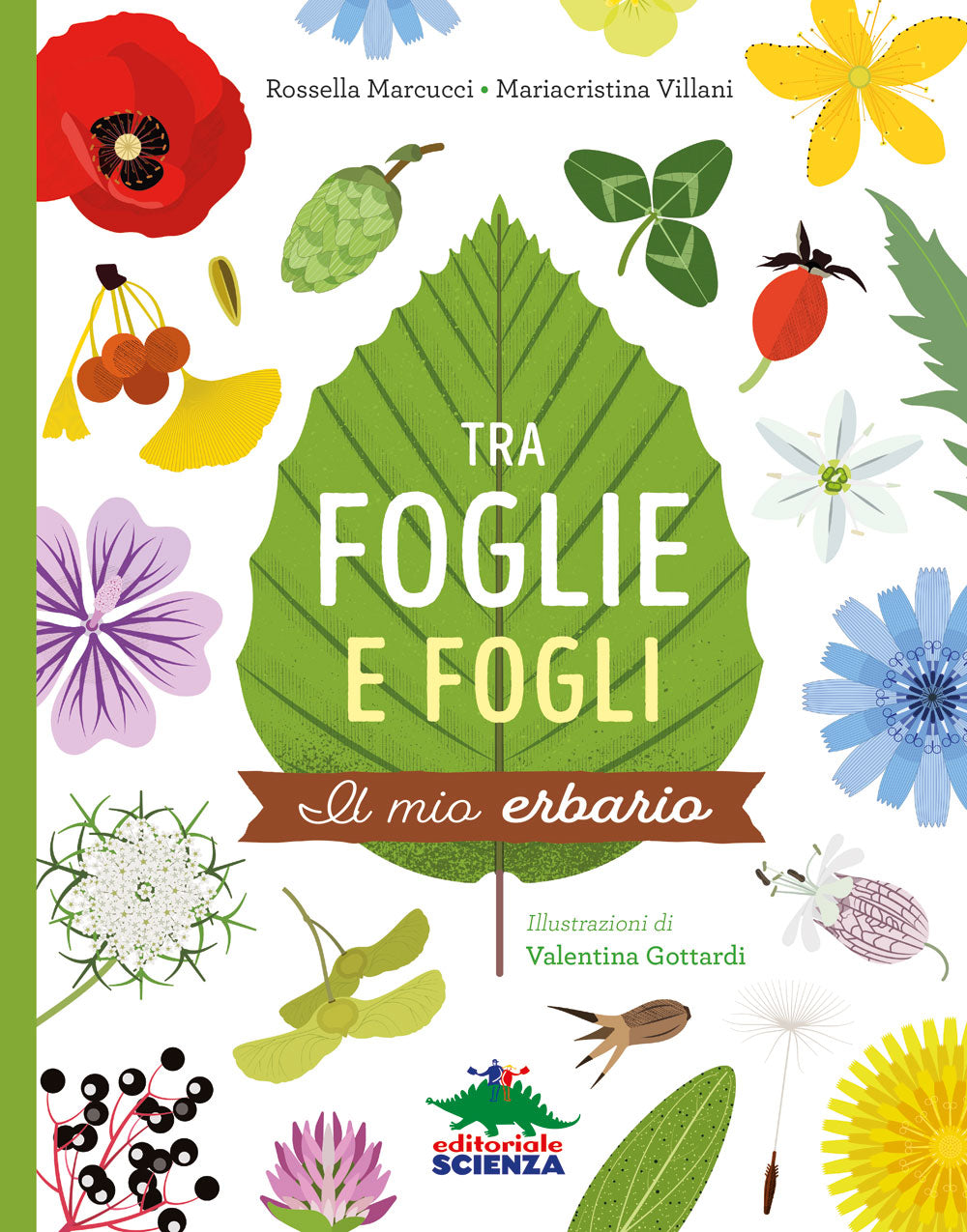 Tra foglie e fogli. Il mio erbario