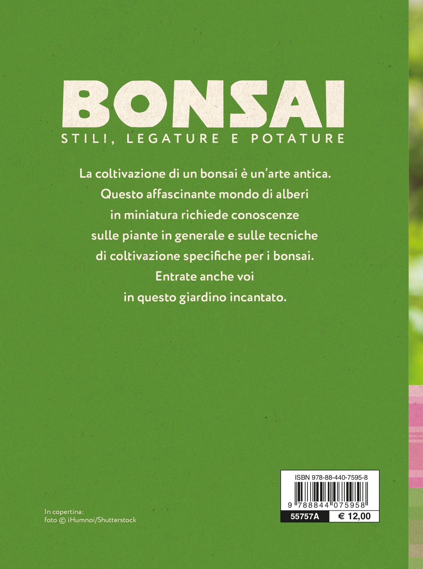 Bonsai