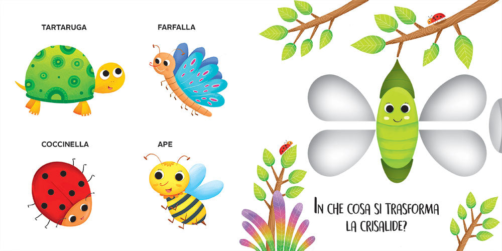 Gli Animali del bosco e del giardino